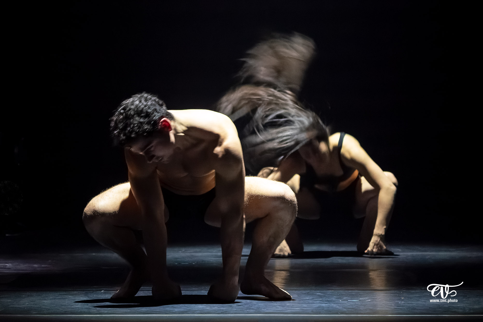 PARADISUM (CIE RECIRQUEL)